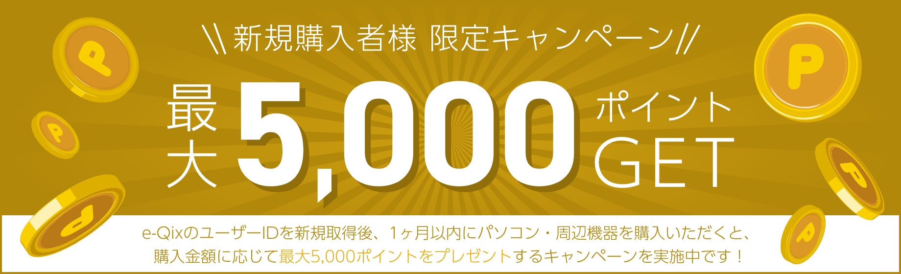 新規購入者様 限定キャンペーン 最大5,000ポイントGET e-QixのユーザーIDを新規取得後、1ヶ月以内にパソコン・周辺機器を購入いただくと、
購入金額に応じて最大5,000ポイントをプレゼントするキャンペーンを実施中です!